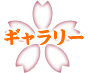 ギャラリー