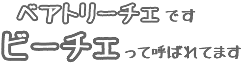 ベアトリーチェです。ビーチェって呼ばれてます。